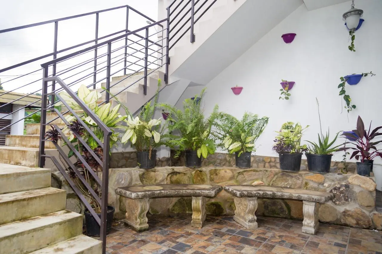 Hololo Haven Bed & Breakfast Saint Elizabeth Trinidad And Tobago